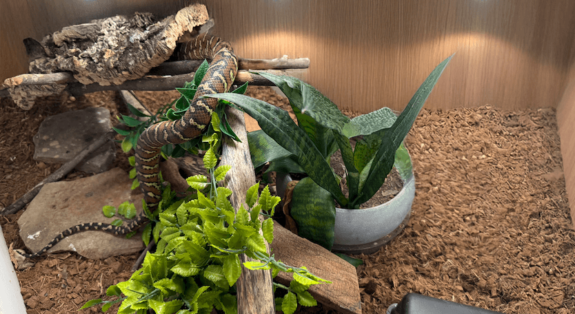 Live tank camera view